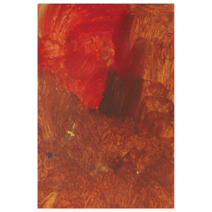 EaA250035｜アカ チャイロ｜可児 大輝