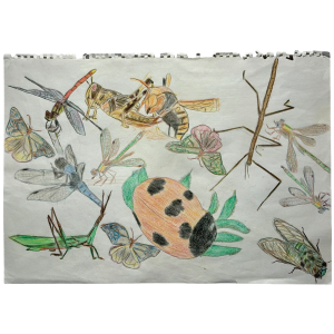 EaA250027｜無題｜村山　重成