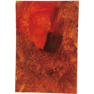 EaA250035｜アカ　チャイロ｜可児　大輝