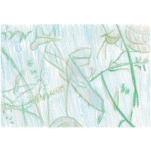 EaA250077 | 草 | 村山 重成