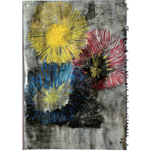 EaA250017｜夏の夜空｜岡田　理佐